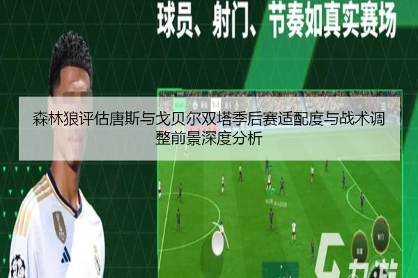 森林狼评估唐斯与戈贝尔双塔季后赛适配度与战术调整前景深度分析
